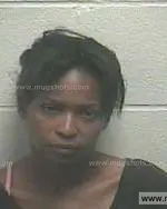 Booking photo of Tobie Nicole Howard, Giles County, Aug 5, 2014