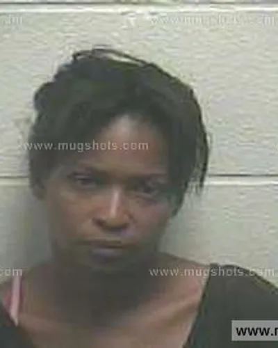 Booking photo of Tobie Nicole Howard, Giles County, Aug 5, 2014