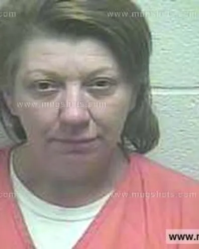 Booking photo of Alisa Stewart, Giles County, May 15, 2013