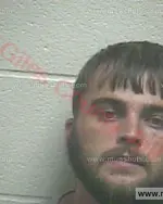 Booking photo of Trent Lee Teeples, Giles County, Jul 8, 2016