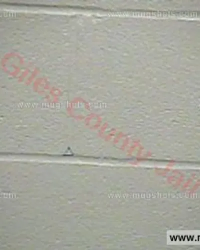 Booking photo of WILLIAM CHARLES BROWN, Giles County, Jan 15, 2016