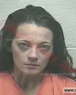 Booking photo of Felicia Dawn Fourakre, Giles County, Jan 24, 2018