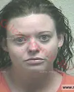 Booking photo of Summer Brooke Wilbanks, Giles County, Nov 26, 2017