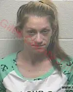 Booking photo of Katie Eileen Davison, Giles County, Jan 18, 2018