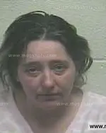 Booking photo of Louanne Marie Armstrong, Giles County, Feb 14, 2014
