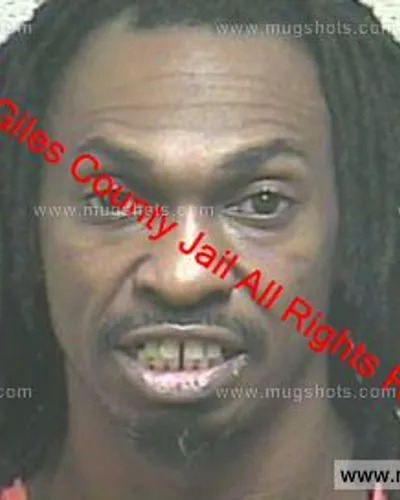 Booking photo of Alfonza Leray Ferguson, Giles County, Feb 11, 2019