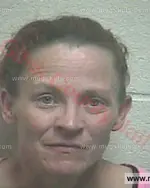 Booking photo of CASEY T CARTER, Giles County, Apr 1, 2016