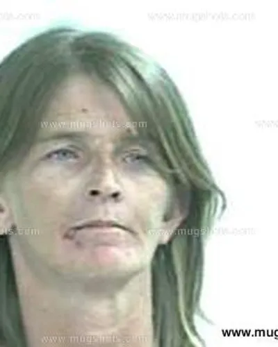 Booking photo of Karen Sue Mcneil, Giles County, Nov 14, 2014