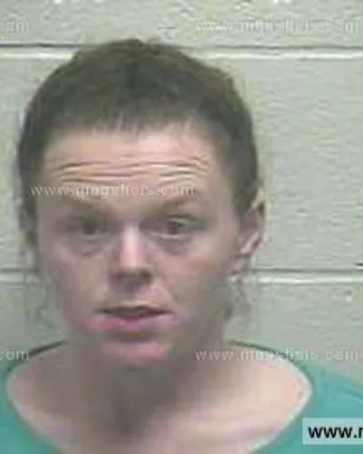 Booking photo of Amy Nicole Summers, Giles County, Feb 26, 2014