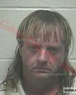 Booking photo of Tracy Lynn Mcgee, Giles County, Mar 31, 2017