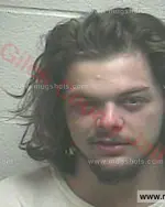 Booking photo of Dylan Gage Henson, Giles County, Apr 28, 2016