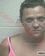 Booking photo of Suzanne Lynn Reed, Giles County, Jun 7, 2017
