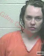 Booking photo of Ashley Nicole Martin, Giles County, Jul 14, 2017