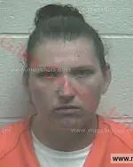 Booking photo of Sanya Michelle Green, Giles County, May 11, 2017