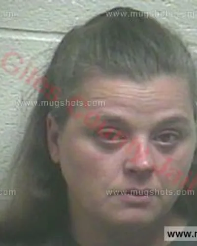Booking photo of Delisa Wiggins, Giles County, Apr 23, 2016