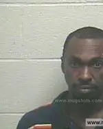 Booking photo of Alfonza Leray Ferguson, Giles County, Jul 26, 2014