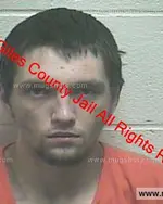 Booking photo of Sean Taz Lewis, Giles County, Jan 17, 2019
