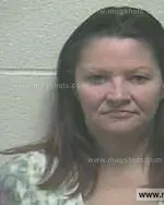 Booking photo of Cynthia Denise Johnson, Giles County, Nov 18, 2014