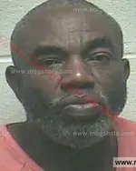 Booking photo of STANLEY EVAN GARDNER Jr., Giles County, Aug 25, 2015