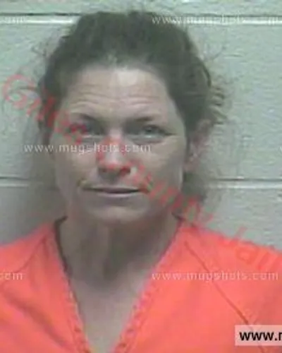 Booking photo of Briana Zian, Giles County, Dec 14, 2017