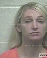 Booking photo of Erica Ann Brewer, Giles County, Sep 5, 2014