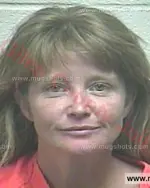 Booking photo of MICHELLE L STANFORD, Giles County, Aug 23, 2017