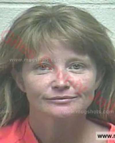 Booking photo of MICHELLE L STANFORD, Giles County, Aug 23, 2017