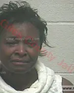 Booking photo of Bonnie Kaye Massey, Giles County, Dec 16, 2017