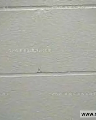 Booking photo of Tabatha King, Giles County, May 6, 2015