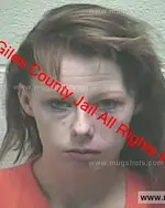 Booking photo of Breanna Abbagail Pippin, Giles County, Mar 5, 2019