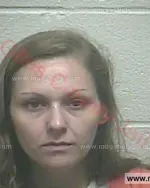 Booking photo of Shamblee Annette Chandler, Giles County, Aug 30, 2017