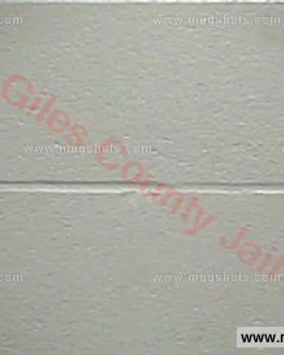 Booking photo of Gary Wayne Dollins, Giles County, Jan 27, 2017