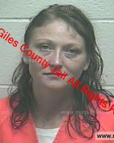 Booking photo of Shannon Nicole Johnson, Giles County, Apr 23, 2019