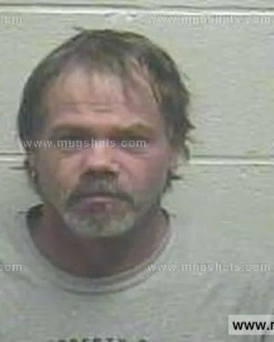 Booking photo of Lonnie Gail Brown, Giles County, Jan 8, 2015