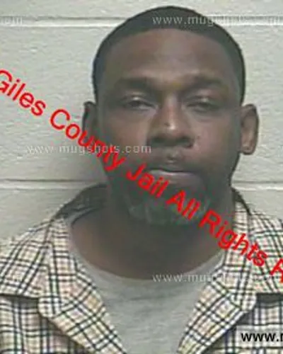 Booking photo of Tomaris Brown, Giles County, Jan 30, 2020