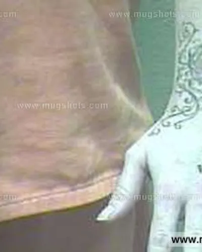 Booking photo of Teri Westrick, Giles County, Mar 19, 2015