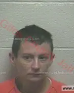 Booking photo of Krystal Leeann Johnson, Giles County, Nov 30, 2017