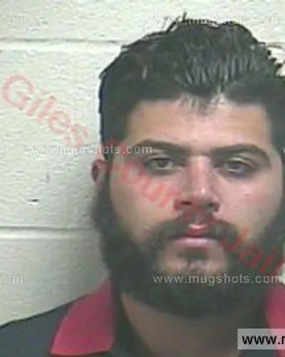 Booking photo of Navid Mahdavimeighan, Giles County, Jun 5, 2018