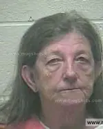 Booking photo of Belinda Gayle Collins, Giles County, May 1, 2015