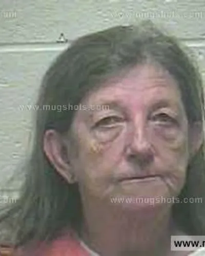 Booking photo of Belinda Gayle Collins, Giles County, May 1, 2015