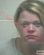 Booking photo of Elizabeth Lake Campbell, Giles County, Dec 25, 2017