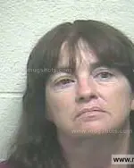 Booking photo of Paulina Ann Hill, Giles County, Jun 23, 2014