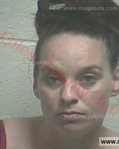 Booking photo of Lori Anne Reeves, Giles County, Aug 19, 2016