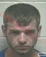 Booking photo of Matthew Douglas Nattress, Giles County, Aug 10, 2017