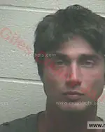 Booking photo of Steven Ryan Thomas, Giles County, Jul 13, 2016