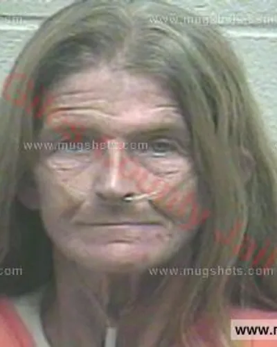 Booking photo of Karen Sue Mcneil, Giles County, Sep 10, 2015