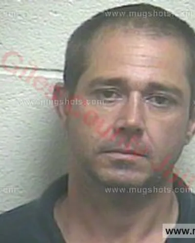 Booking photo of TERRY L DEFOE, Giles County, May 10, 2016