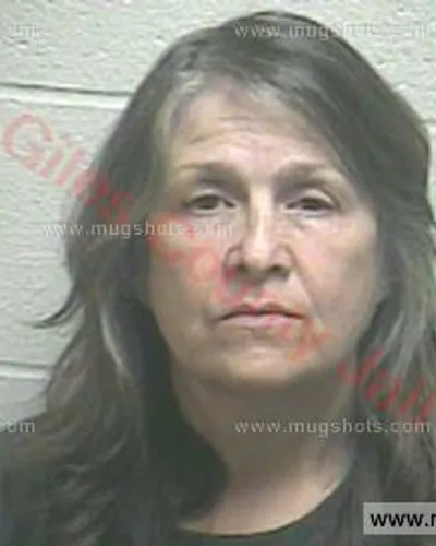 Booking photo of Susan Barbour, Giles County, May 25, 2016