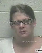Booking photo of Sarah Ann Griffin, Giles County, Apr 20, 2015