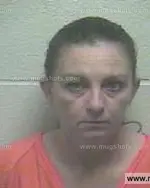 Booking photo of Amanda Carol Magness, Giles County, Feb 11, 2014